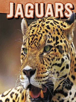 cover image of Jaguars